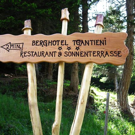 Berghotel Tgantieni Lenzerheide Eksteriør billede